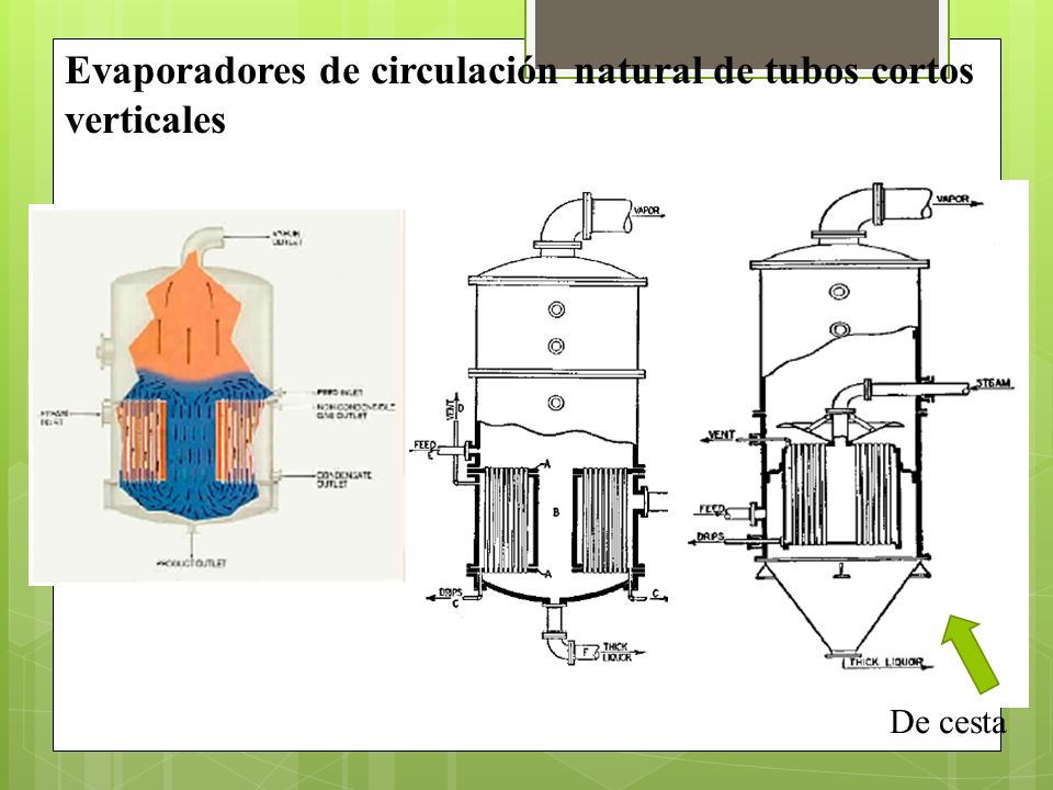 Evaporadores de circulación natural de tubos cortos verticales