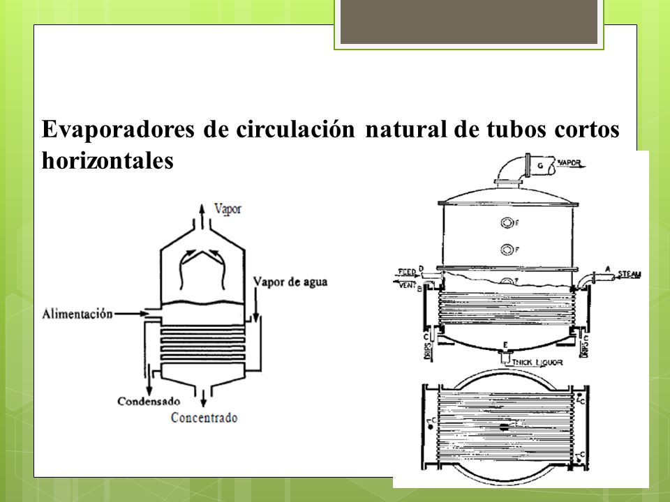 Evaporadores de circulación natural de tubos cortos