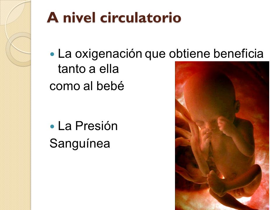 A nivel circulatorio La oxigenación que obtiene beneficia tanto a ella
