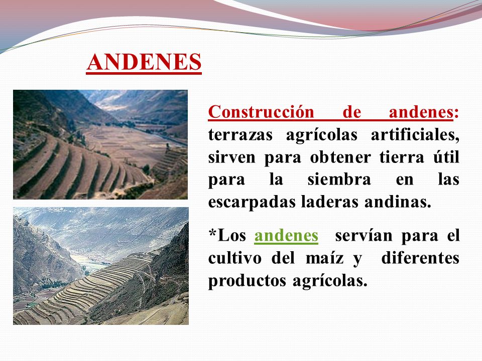 ANDENES Construcción de andenes: terrazas agrícolas artificiales, sirven para obtener tierra útil para la siembra en las escarpadas laderas andinas.