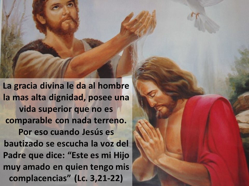 La gracia divina le da al hombre la mas alta dignidad, posee una vida superior que no es comparable con nada terreno.