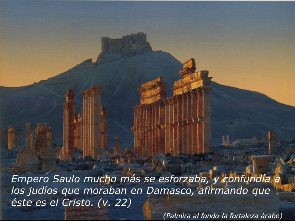 Empero Saulo mucho más se esforzaba, y confundía a los judíos que moraban en Damasco, afirmando que éste es el Cristo. (v. 22)