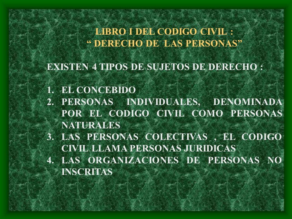LIBRO I DEL CODIGO CIVIL : DERECHO DE LAS PERSONAS