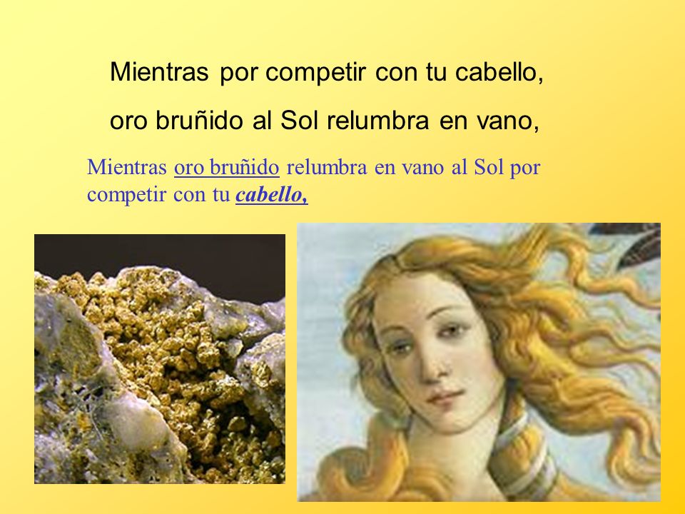 Mientras por competir con tu cabello,