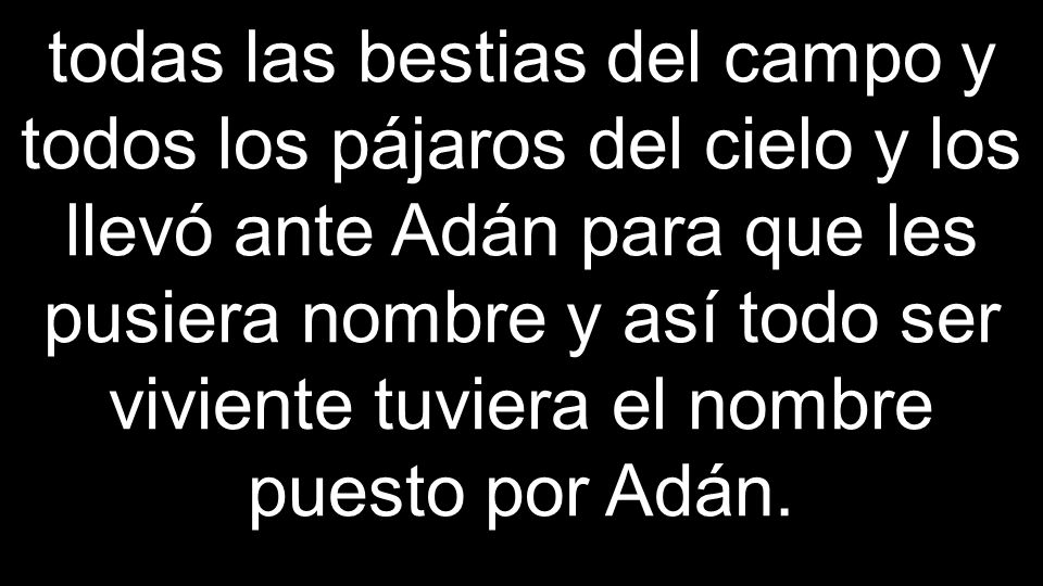 todas las bestias del campo y todos los pájaros del cielo y los