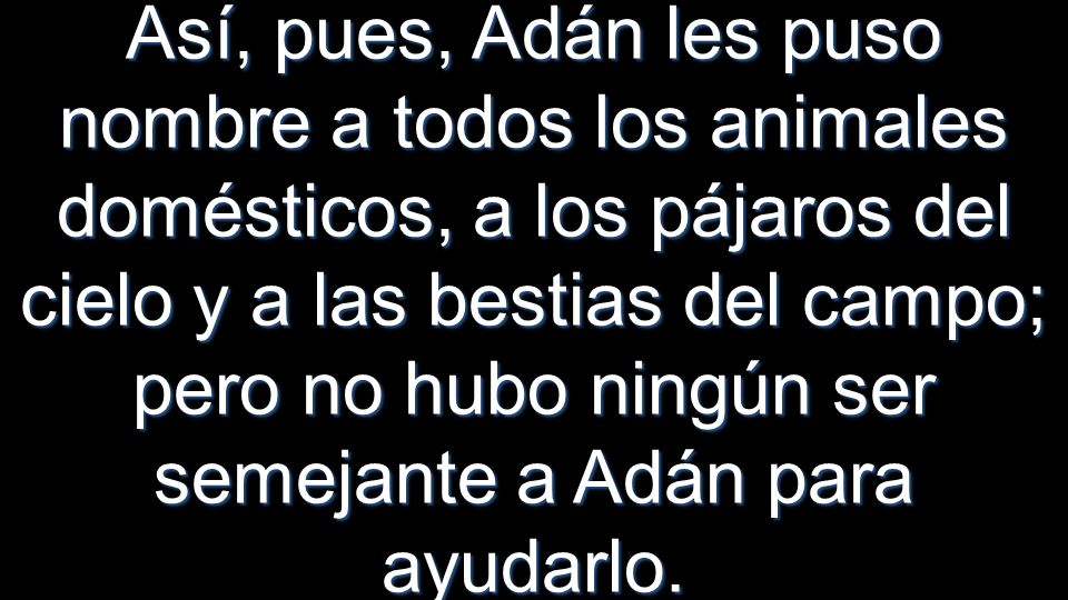 Así, pues, Adán les puso nombre a todos los animales domésticos, a los pájaros del cielo y a las bestias del campo; pero no hubo ningún ser semejante a Adán para ayudarlo.