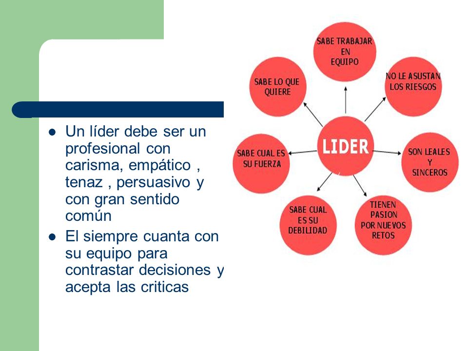 Un líder debe ser un profesional con carisma, empático , tenaz , persuasivo y con gran sentido común