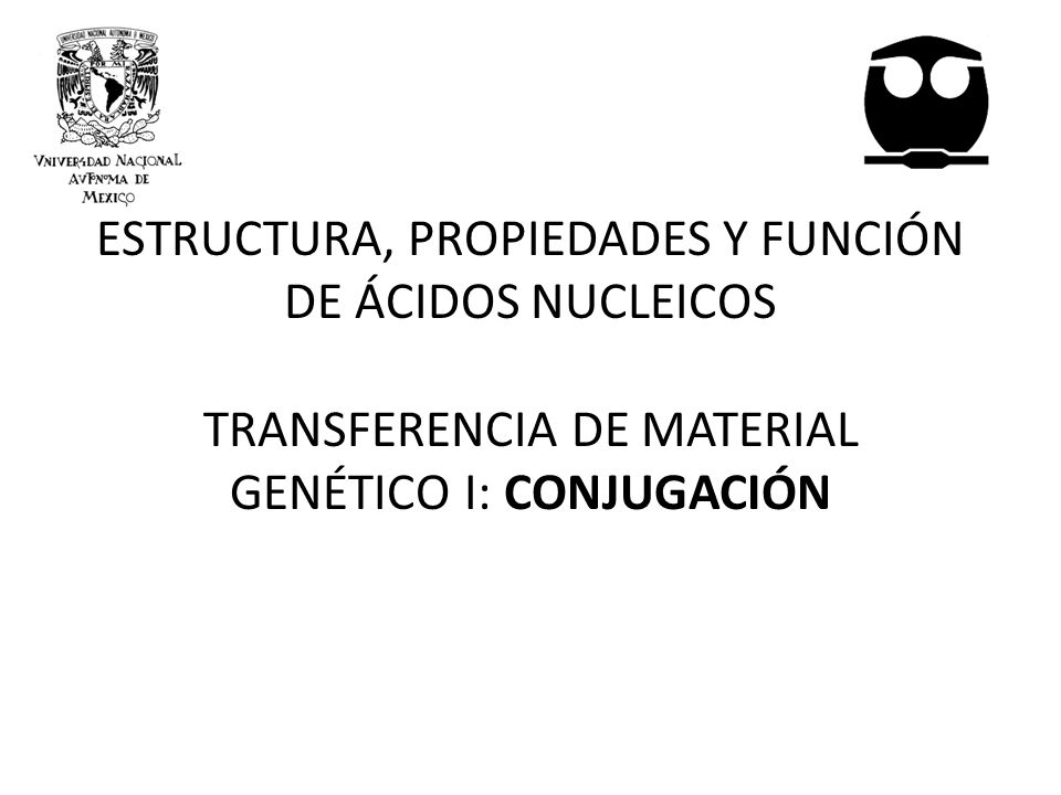 ESTRUCTURA, PROPIEDADES Y FUNCIÓN DE ÁCIDOS NUCLEICOS TRANSFERENCIA DE MATERIAL GENÉTICO I: CONJUGACIÓN