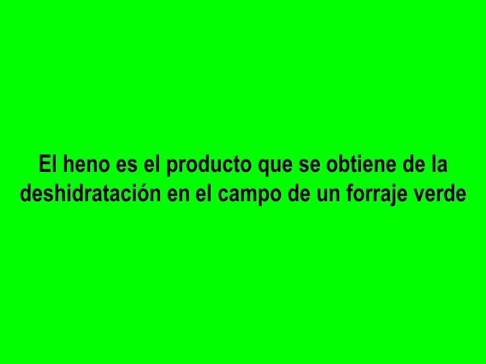 El heno es el producto que se obtiene de la deshidratación en el campo de un forraje verde