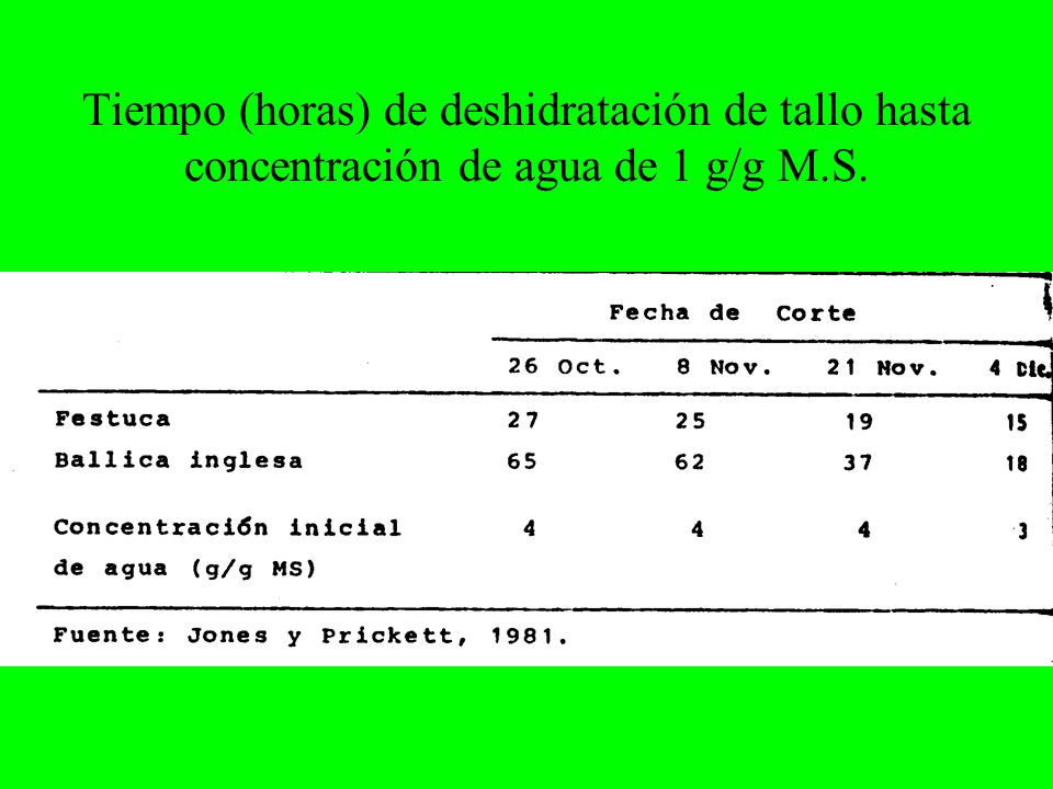 Tiempo (horas) de deshidratación de tallo hasta concentración de agua de 1 g/g M.S.