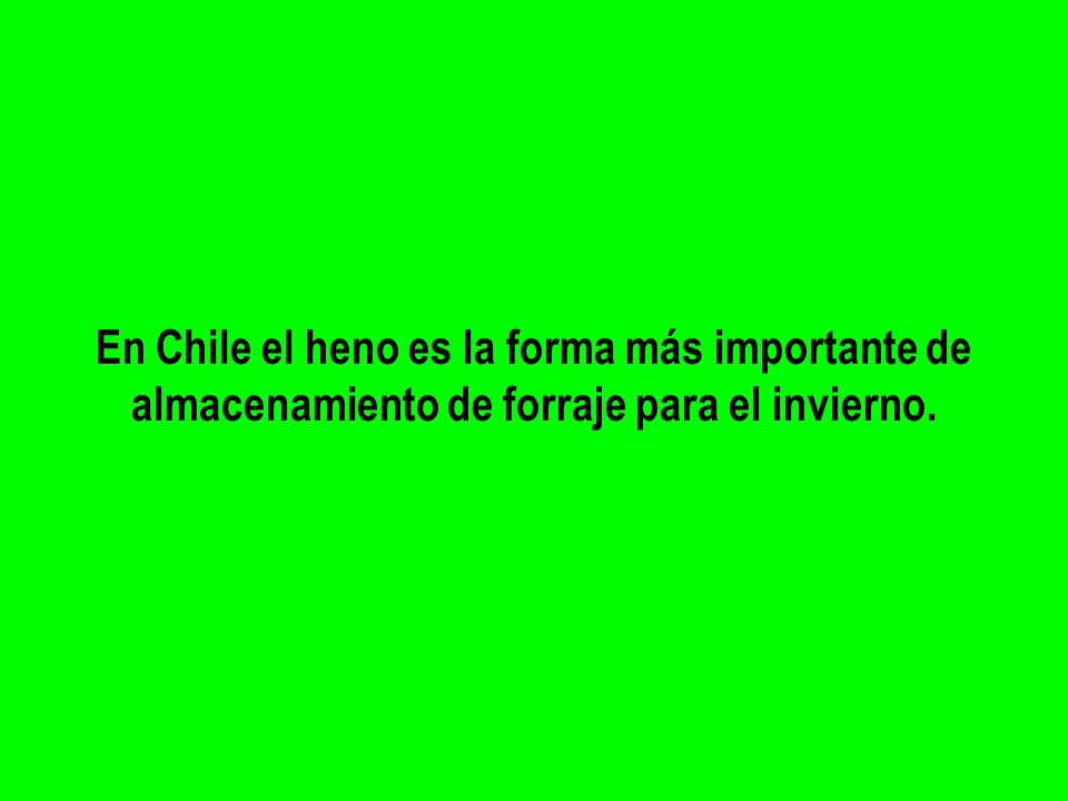 En Chile el heno es la forma más importante de almacenamiento de forraje para el invierno.