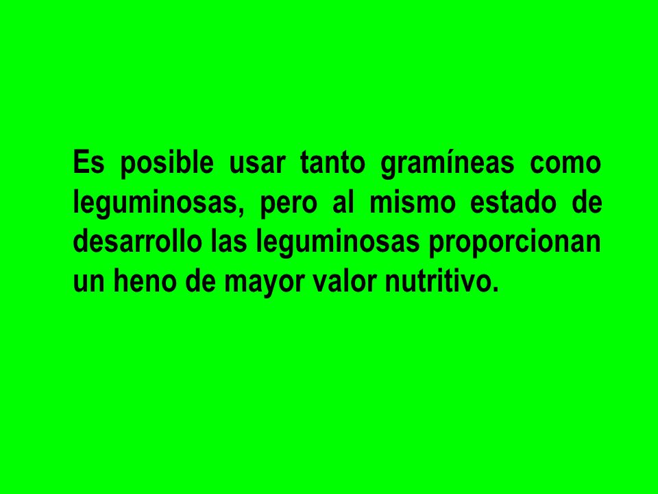 Es posible usar tanto gramíneas como leguminosas, pero al mismo estado de desarrollo las leguminosas proporcionan un heno de mayor valor nutritivo.