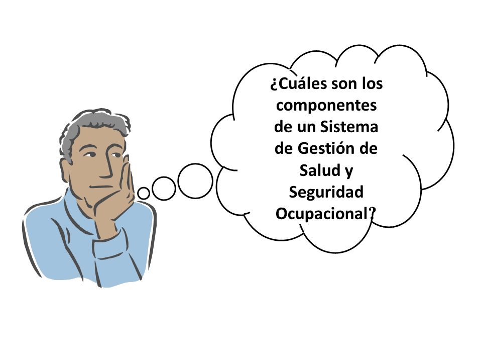 ¿Cuáles son los componentes de un Sistema de Gestión de Salud y Seguridad Ocupacional