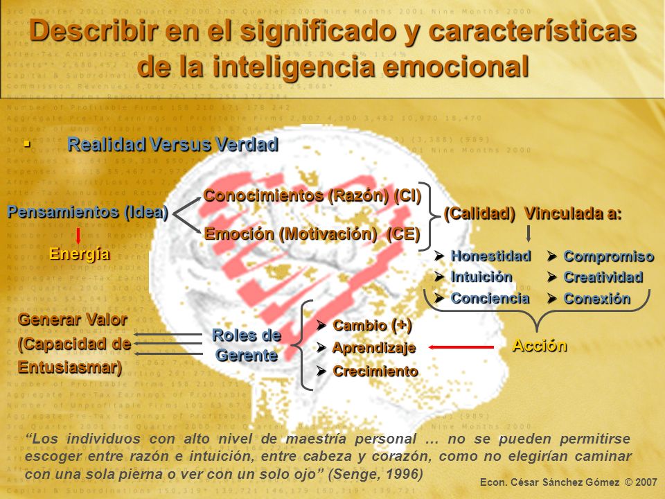 Describir en el significado y características de la inteligencia emocional