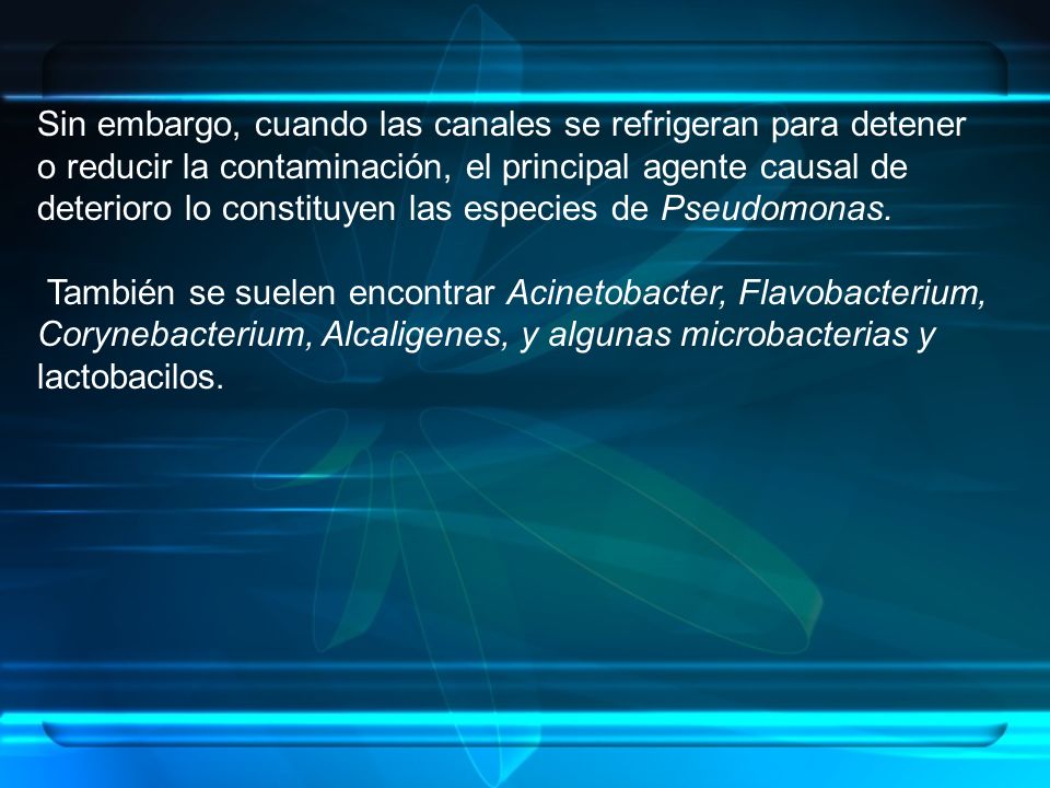 Sin embargo, cuando las canales se refrigeran para detener o reducir la contaminación, el principal agente causal de deterioro lo constituyen las especies de Pseudomonas.