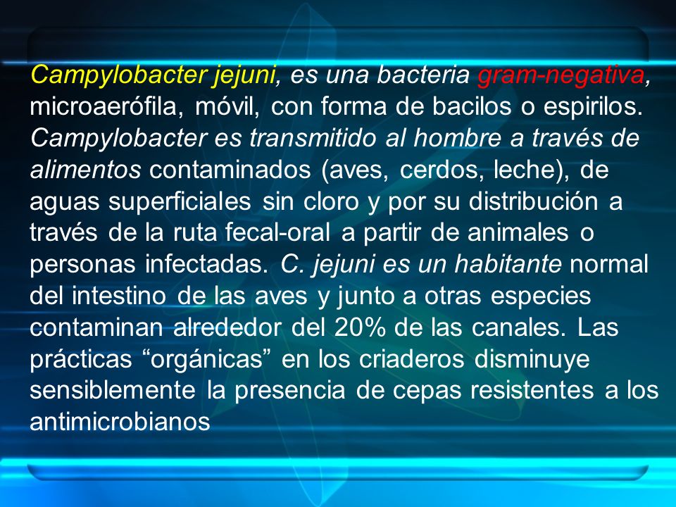 Campylobacter jejuni, es una bacteria gram-negativa, microaerófila, móvil, con forma de bacilos o espirilos.