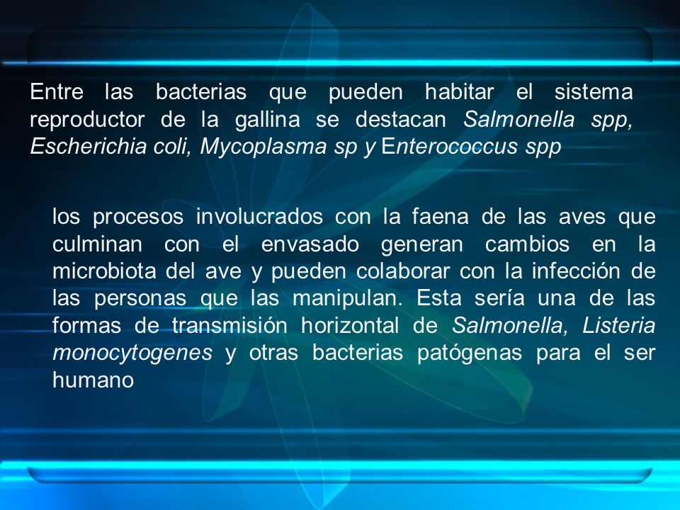 Entre las bacterias que pueden habitar el sistema reproductor de la gallina se destacan Salmonella spp, Escherichia coli, Mycoplasma sp y Enterococcus spp