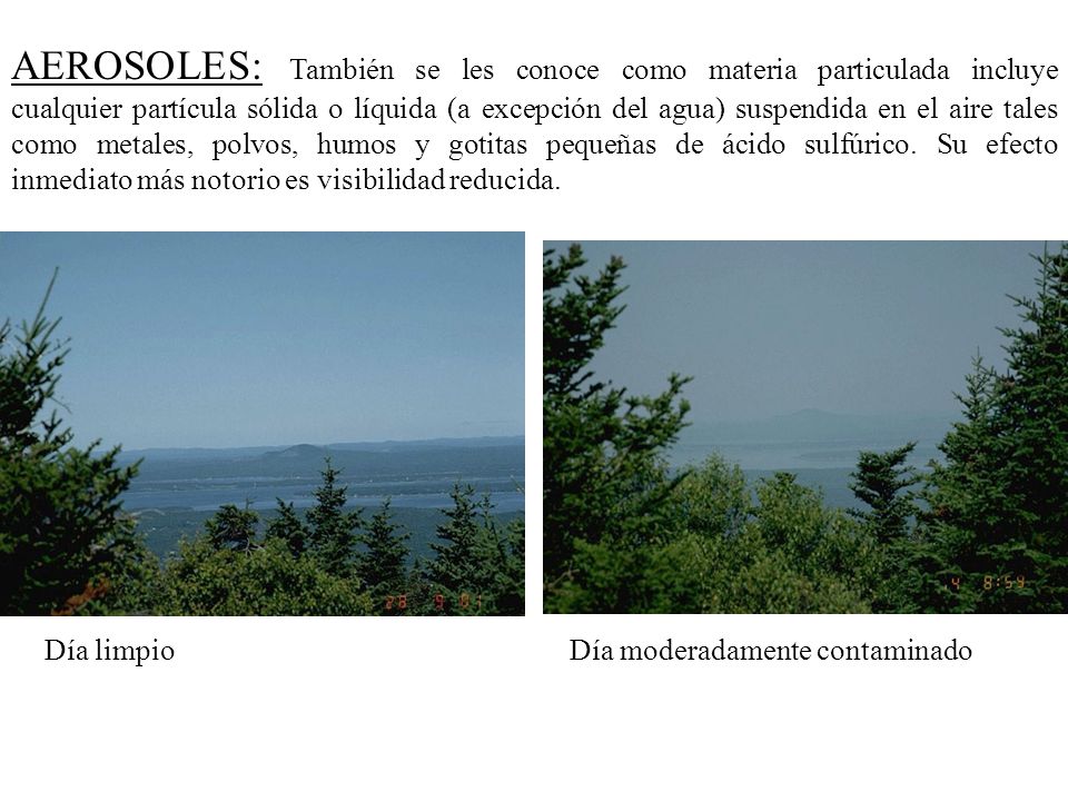 AEROSOLES: También se les conoce como materia particulada incluye cualquier partícula sólida o líquida (a excepción del agua) suspendida en el aire tales como metales, polvos, humos y gotitas pequeñas de ácido sulfúrico. Su efecto inmediato más notorio es visibilidad reducida.