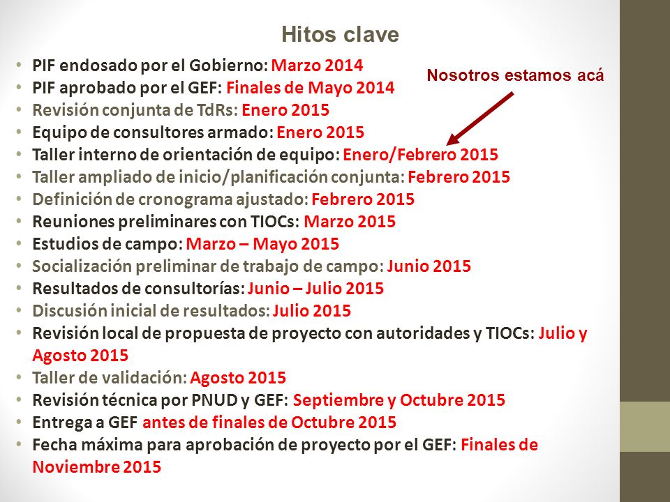 Hitos clave PIF endosado por el Gobierno: Marzo 2014