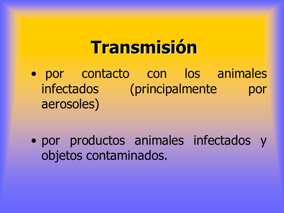 Transmisión por contacto con los animales infectados (principalmente por aerosoles) por productos animales infectados y objetos contaminados.