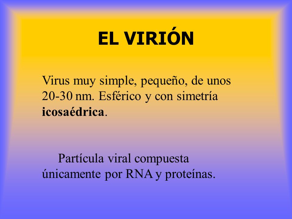 EL VIRIÓN Virus muy simple, pequeño, de unos nm. Esférico y con simetría icosaédrica.