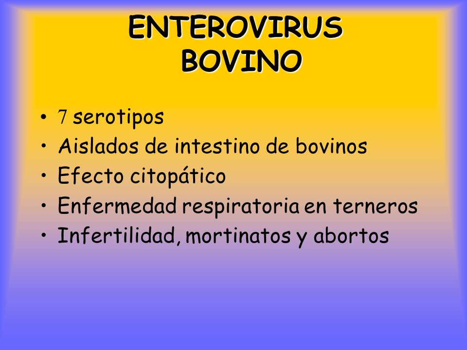ENTEROVIRUS BOVINO 7 serotipos Aislados de intestino de bovinos