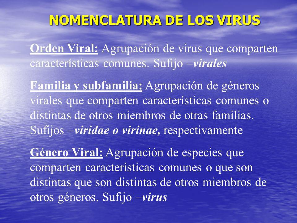 NOMENCLATURA DE LOS VIRUS
