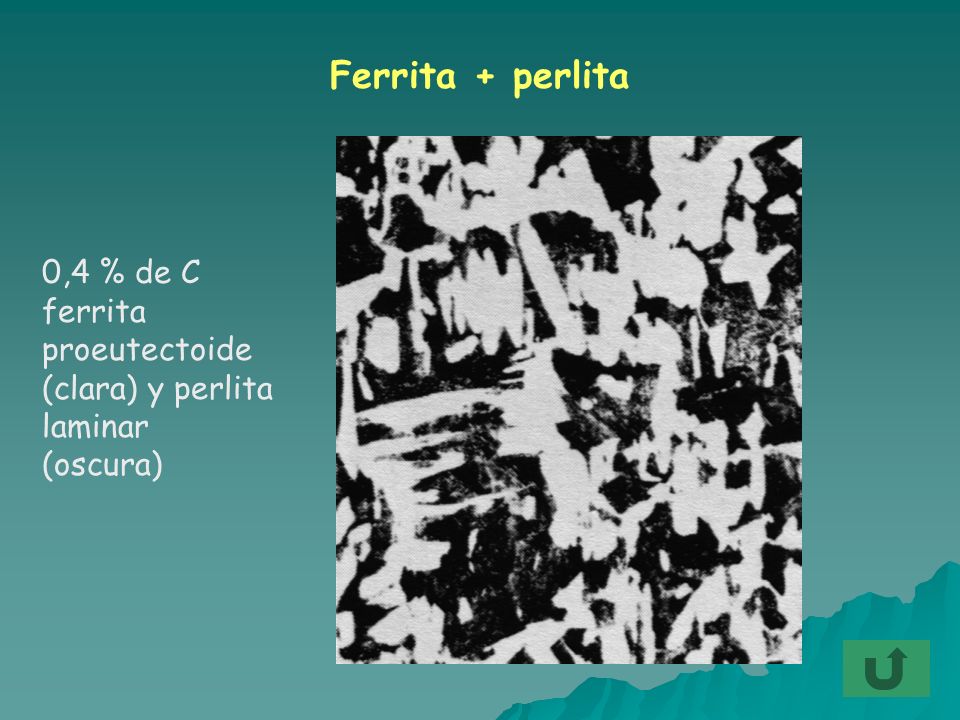 Ferrita + perlita 0,4 % de C ferrita proeutectoide (clara) y perlita laminar (oscura)