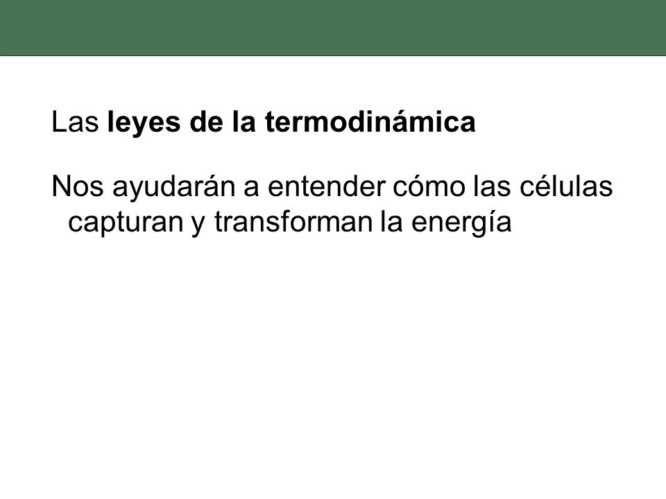 Los procesos que ocurren en las células son físicos y químicos.