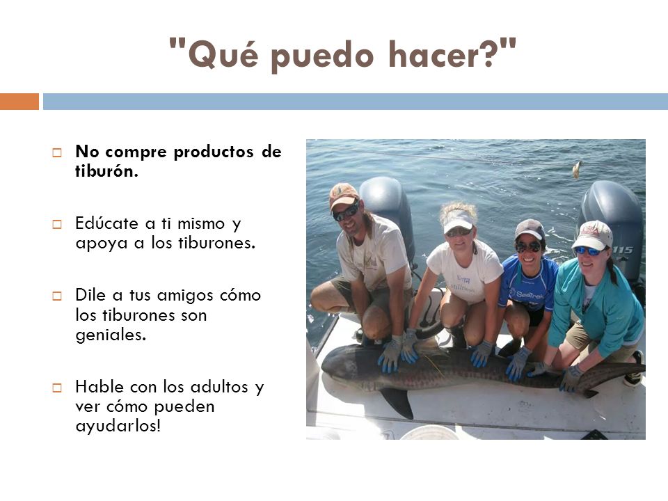 Qué puedo hacer No compre productos de tiburón.