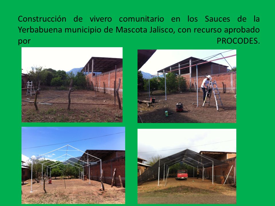 Construcción de vivero comunitario en los Sauces de la Yerbabuena municipio de Mascota Jalisco, con recurso aprobado por PROCODES.