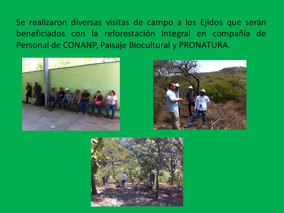 Se realizaron diversas visitas de campo a los Ejidos que serán beneficiados con la reforestación Integral en compañía de Personal de CONANP, Paisaje Biocultural y PRONATURA.