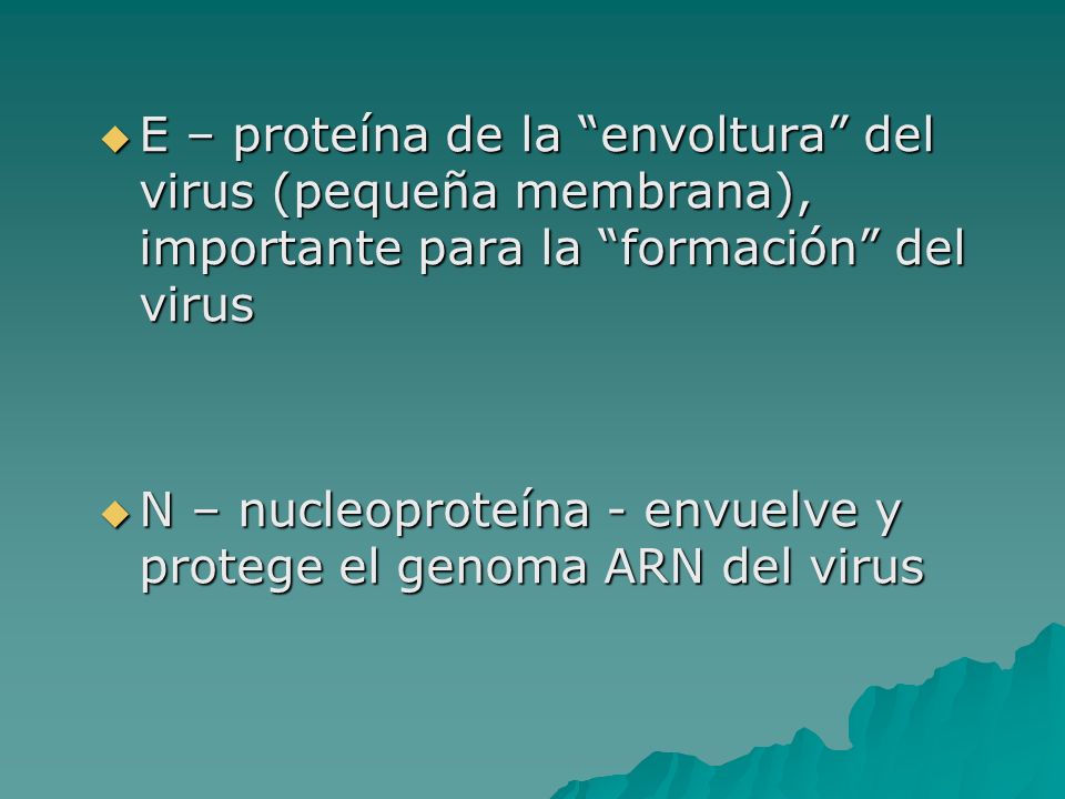 E – proteína de la envoltura del virus (pequeña membrana), importante para la formación del virus