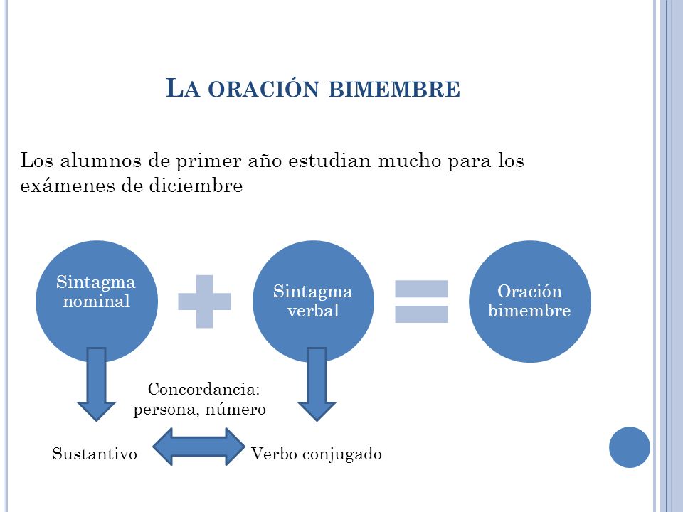 La oración bimembre Sintagma nominal. Sintagma verbal. Oración bimembre. Los alumnos de primer año estudian mucho para los exámenes de diciembre.