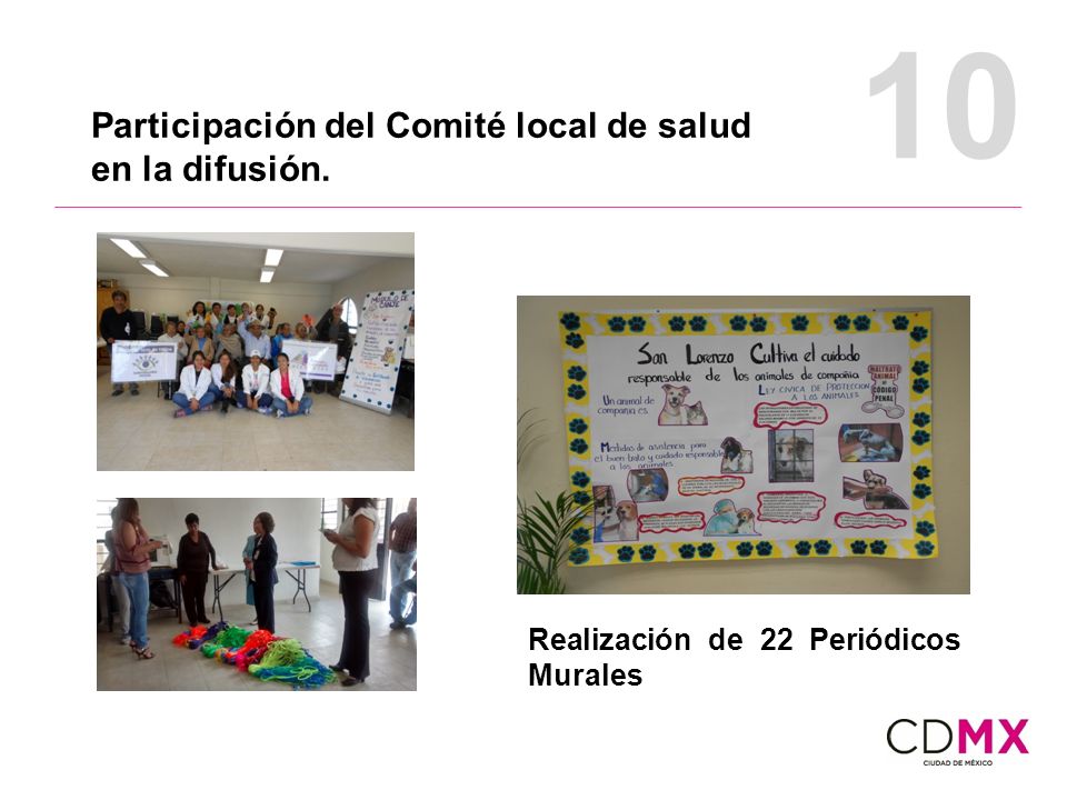 10 Participación del Comité local de salud en la difusión.