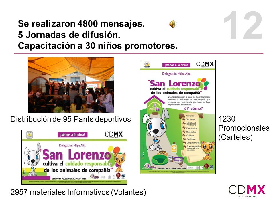 12 Se realizaron 4800 mensajes. 5 Jornadas de difusión.