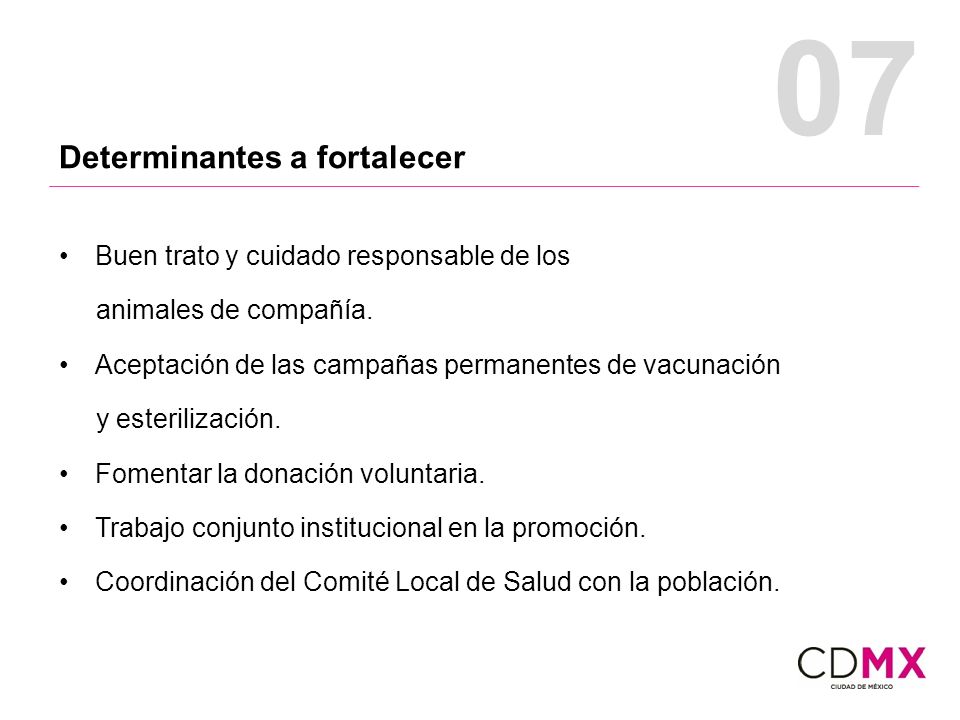 07 Determinantes a fortalecer Buen trato y cuidado responsable de los