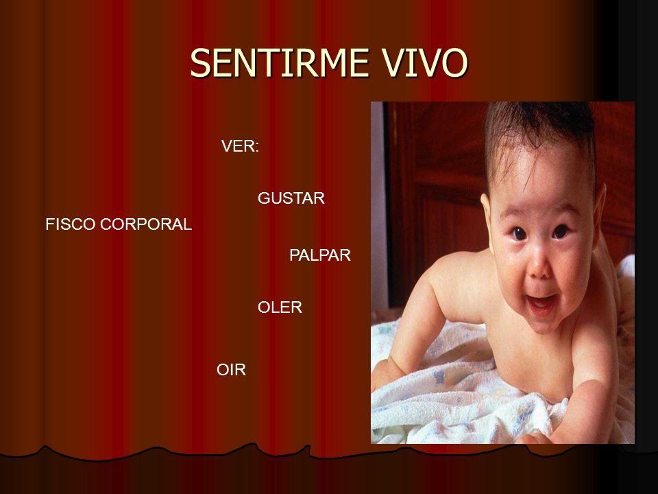 SENTIRME VIVO VER: GUSTAR FISCO CORPORAL PALPAR OLER OIR