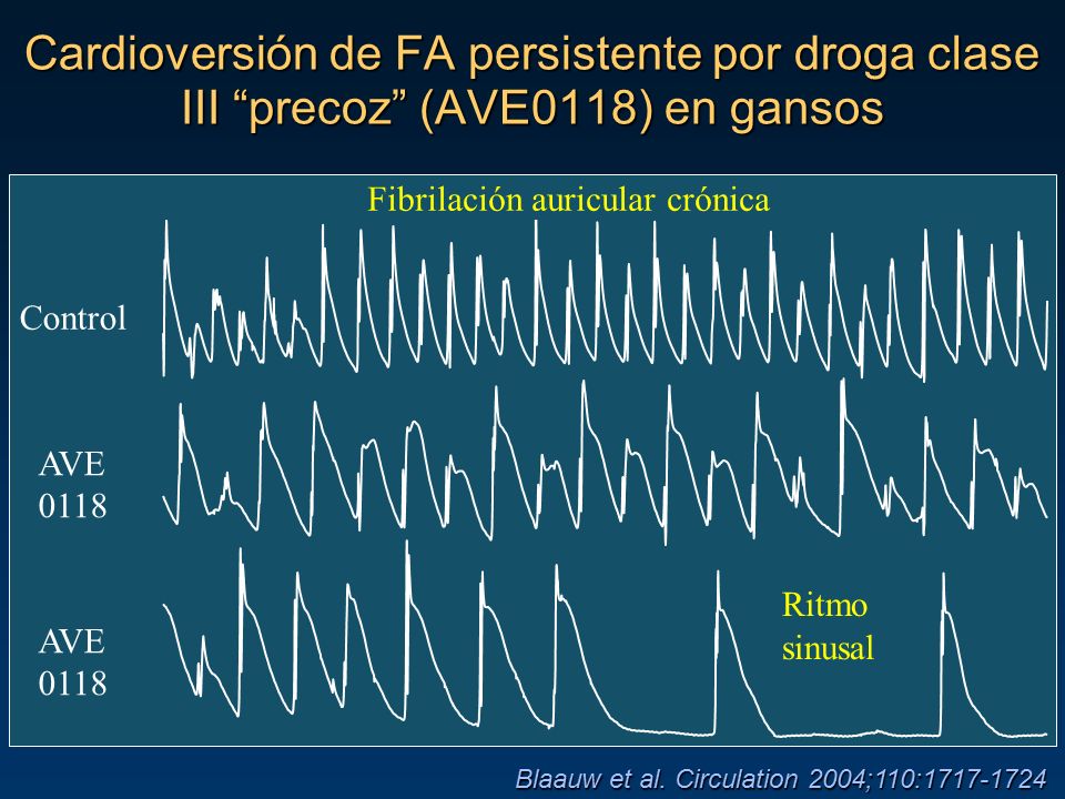 Cardioversión de FA persistente por droga clase III precoz (AVE0118) en gansos