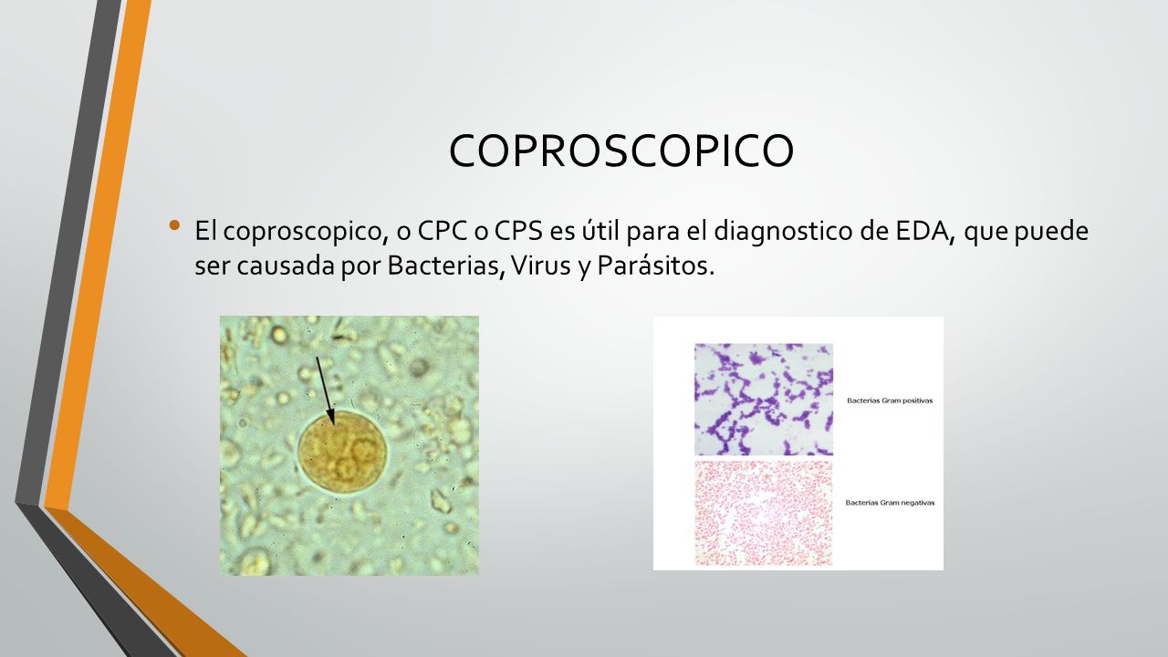 COPROSCOPICO El coproscopico, o CPC o CPS es útil para el diagnostico de EDA, que puede ser causada por Bacterias, Virus y Parásitos.