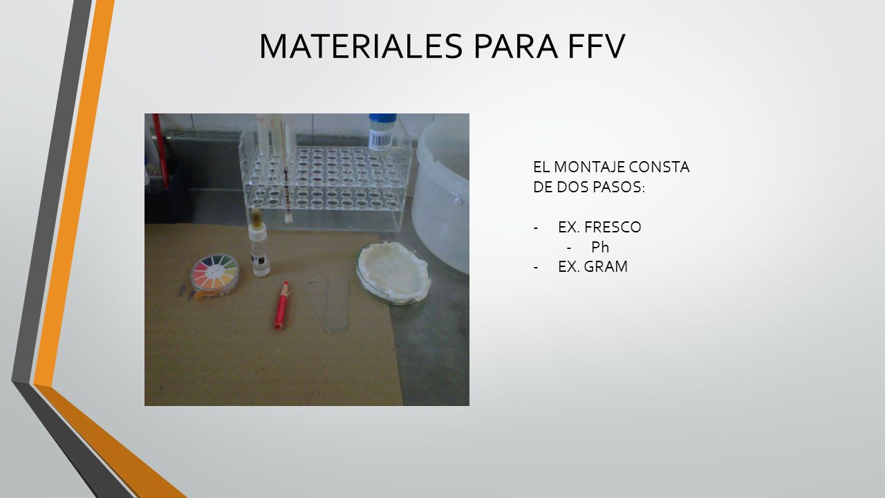 MATERIALES PARA FFV EL MONTAJE CONSTA DE DOS PASOS: EX. FRESCO Ph