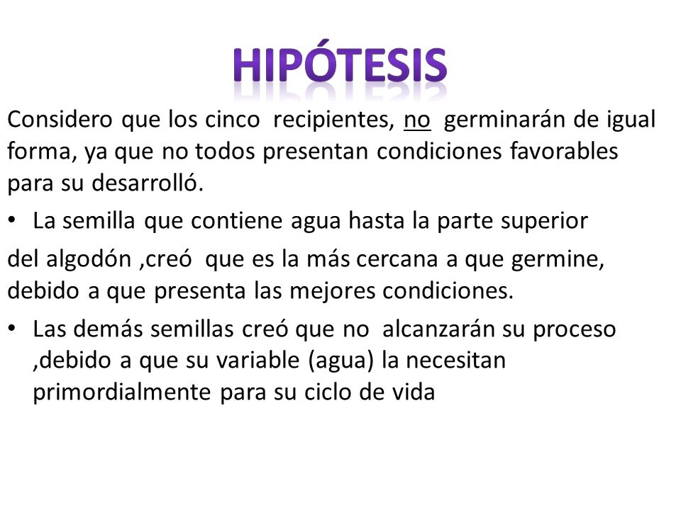 hipótesis Considero que los cinco recipientes, no germinarán de igual forma, ya que no todos presentan condiciones favorables para su desarrolló.