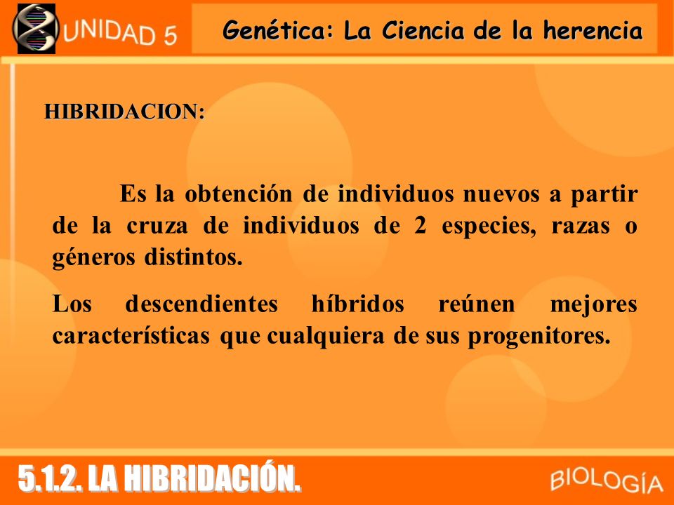HIBRIDACION: Es la obtención de individuos nuevos a partir de la cruza de individuos de 2 especies, razas o géneros distintos.