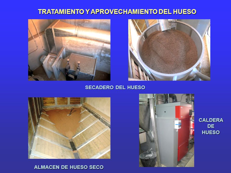 TRATAMIENTO Y APROVECHAMIENTO DEL HUESO