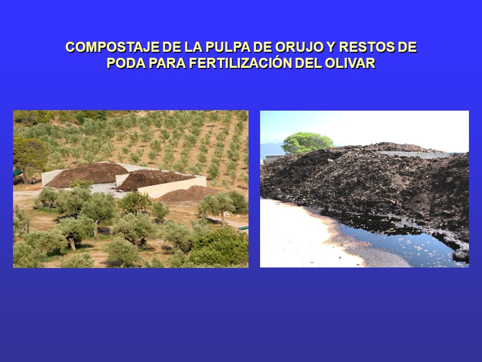 COMPOSTAJE DE LA PULPA DE ORUJO Y RESTOS DE PODA PARA FERTILIZACIÓN DEL OLIVAR