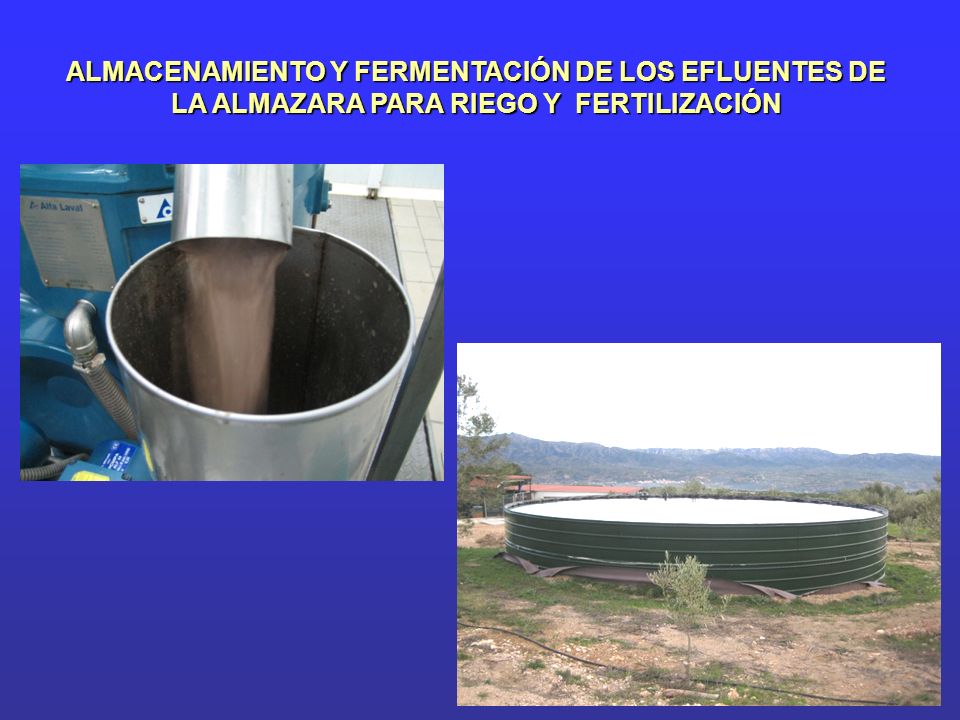 ALMACENAMIENTO Y FERMENTACIÓN DE LOS EFLUENTES DE LA ALMAZARA PARA RIEGO Y FERTILIZACIÓN