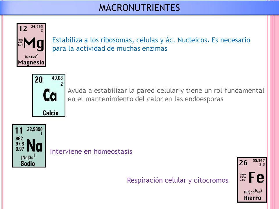 MACRONUTRIENTES Estabiliza a los ribosomas, células y ác. Nucleicos. Es necesario para la actividad de muchas enzimas.