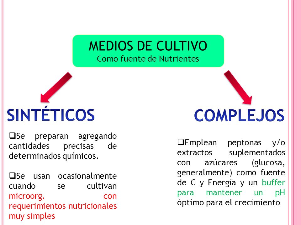 Como fuente de Nutrientes