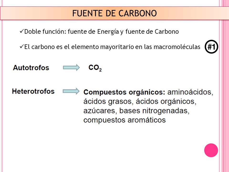 FUENTE DE CARBONO Doble función: fuente de Energía y fuente de Carbono