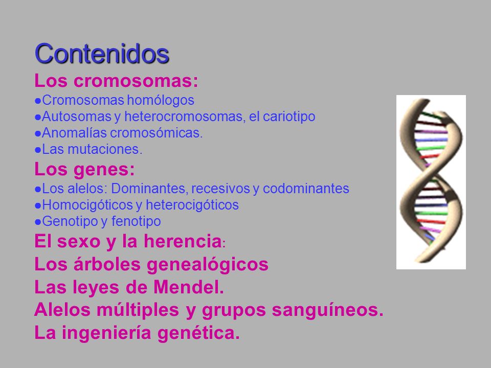 Contenidos Los cromosomas: Los genes: El sexo y la herencia: